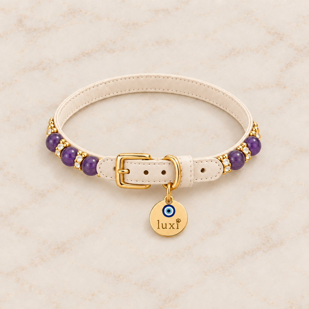 Amethyst collar with D-ring tag