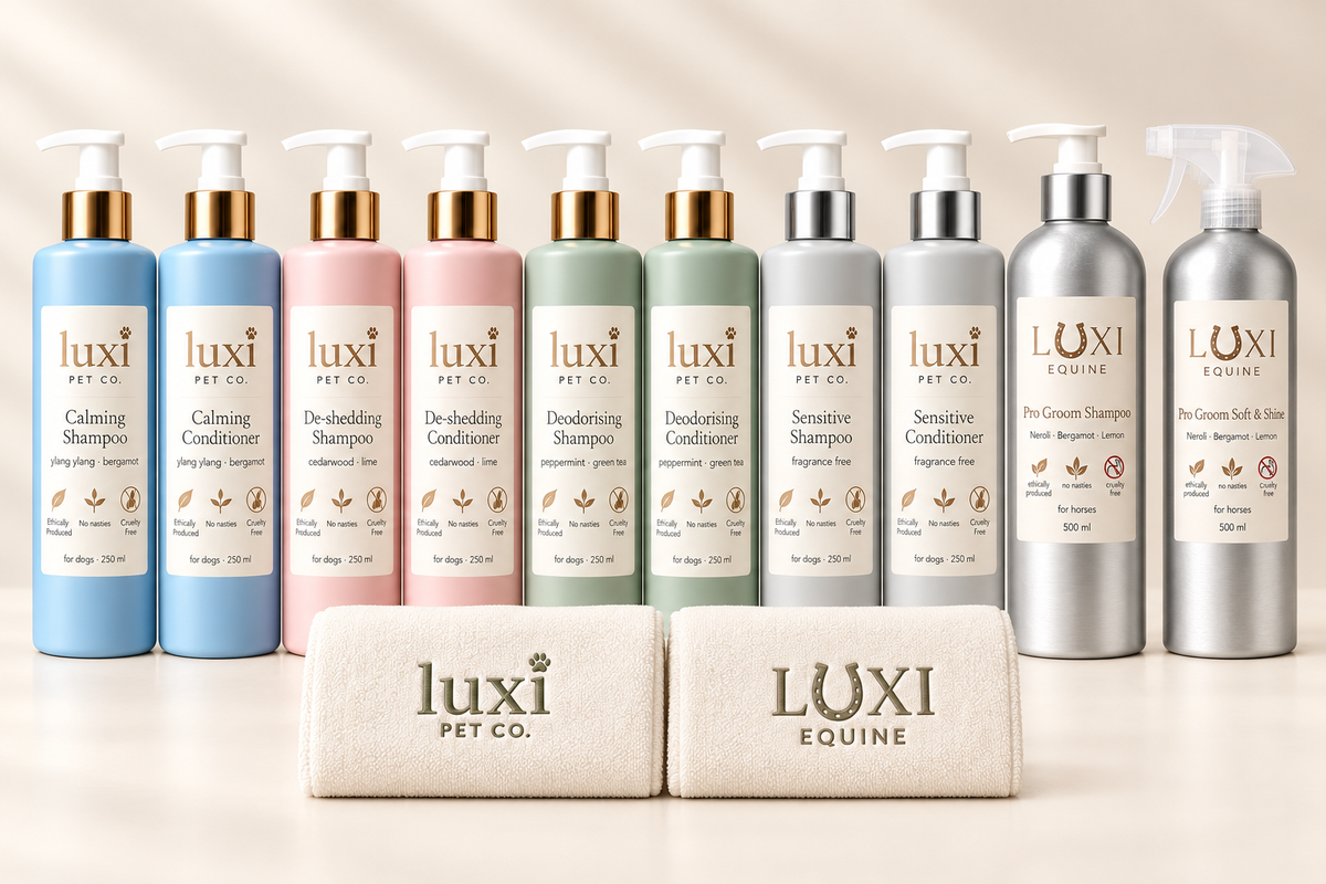 New Luxi lineup rebuilt from the original photos