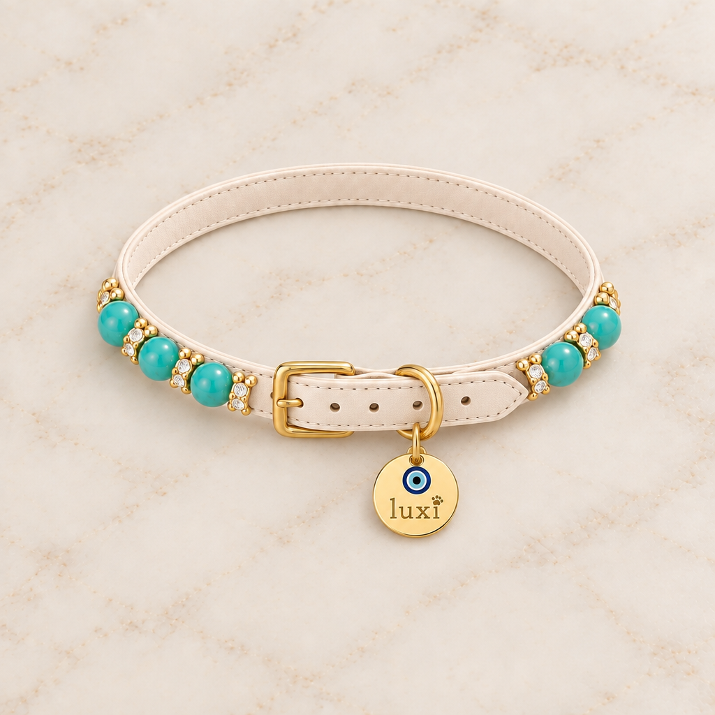Turquoise collar with D-ring tag